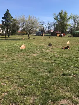 Campingplatz am Großen Teich