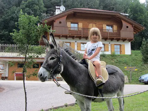 Agricampeggio Le Perlaie