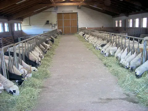 Agricampeggio Le Perlaie
