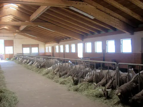 Agricampeggio Le Perlaie