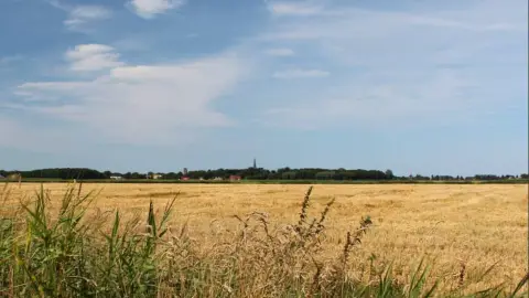 De Horizon