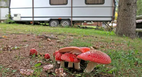 Camping Aprica