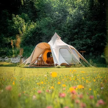 Glamping gozdna jasa