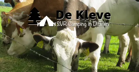 De Kleve