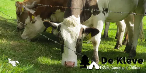 De Kleve