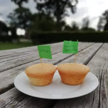 Kampeerboerderij De Spochthoorn