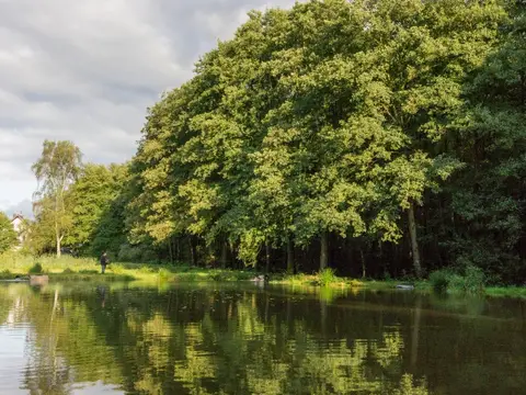 Camping am Wiesensee