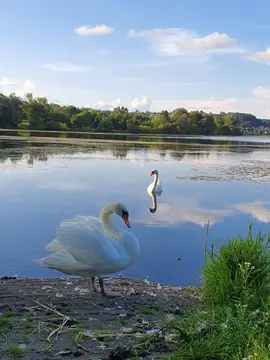 Camping am Wiesensee