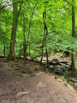 Camping am Wiesensee