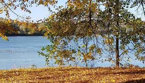 Camping am Wiesensee