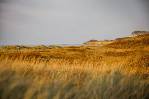 Prima Resort Boddenblick
