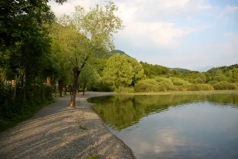 Ranocchio