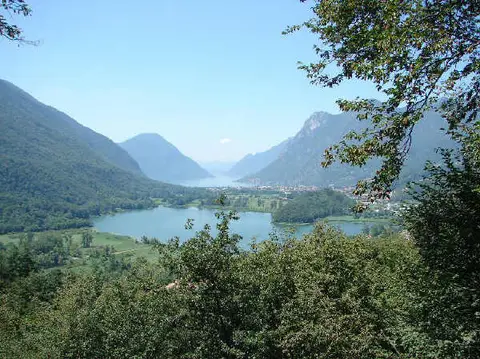 Ranocchio