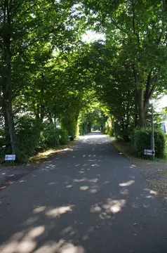 Camping Am Strande