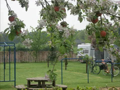 Camping Prinsenhoeve