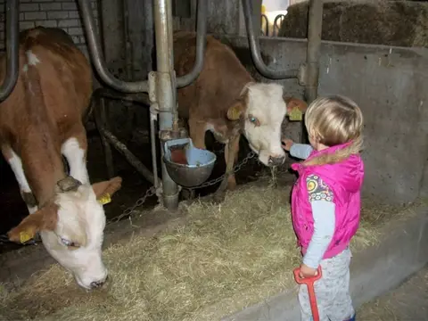 Camping Prinsenhoeve