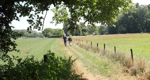 Camperplaats de Boomgaard