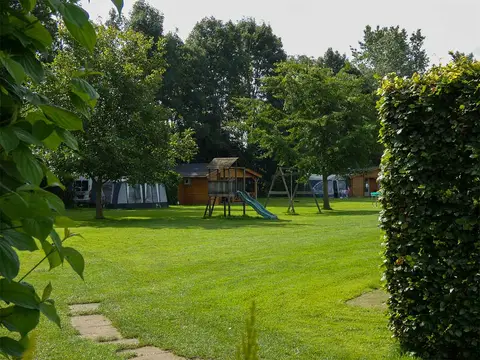 Warnstee