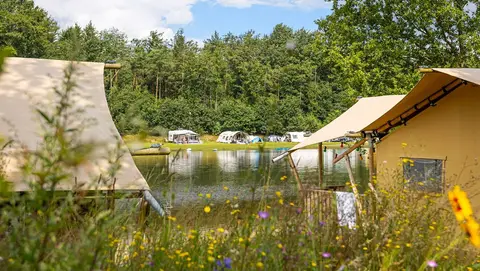 Molecaten Park Kuierpad