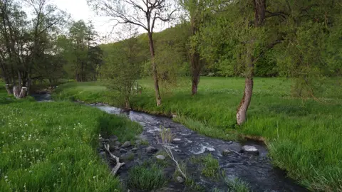 Campinganlage "Zur Löhlenmühle e.V."