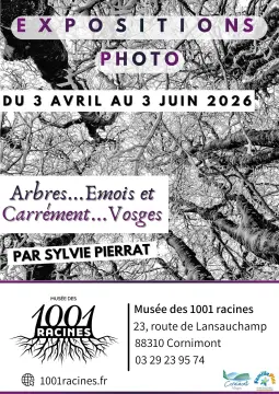 Aire de camping-car de Cornimont
