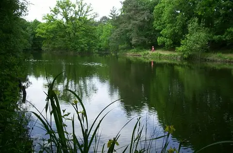 Camping Bruinsbergen