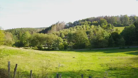 Im Vogelsang