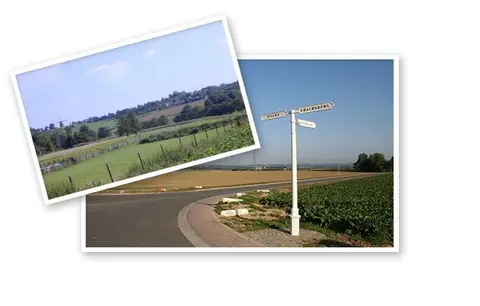 De Kersengaard