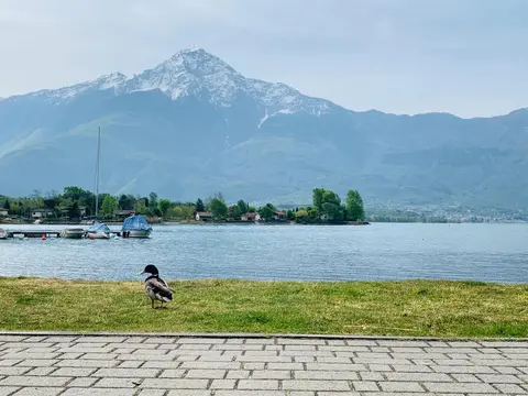 Camping Belvedere