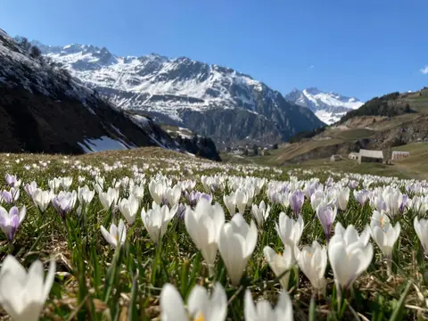 Gotthard Camping Andermatt