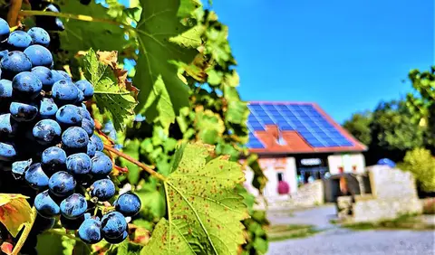 Campingplatz Schwabenmühle