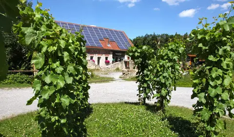 Campingplatz Schwabenmühle