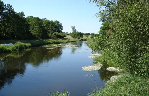 Shelterplads ved Kongeåslusen