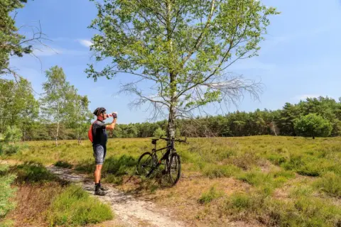 De Holterberg