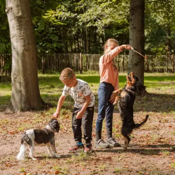 Camping Ommerland