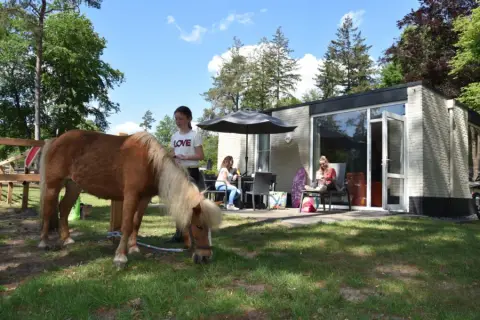 Camping Ommerland