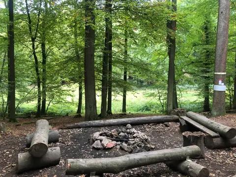 Trekking Pfalz: Leinsweiler