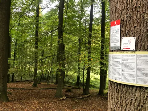 Trekking Pfalz: Leinsweiler