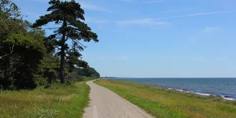 Shelter Næsby Strand