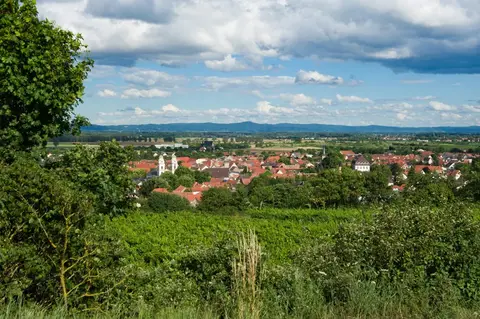 Wohnmobilstellplatze Alsheimer Straße - Guntersblum