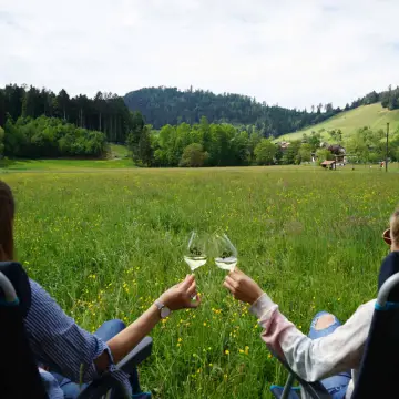 Wohnmobilstellplatz - Brennerei & Weingut Wild