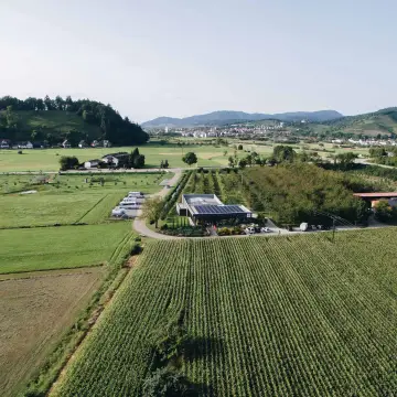 Wohnmobilstellplatz - Brennerei & Weingut Wild