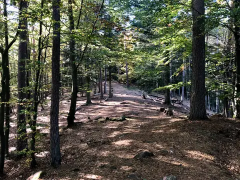 Trekking Pfalz: Vorderweidenthal