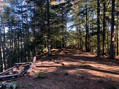 Trekking Pfalz: Vorderweidenthal