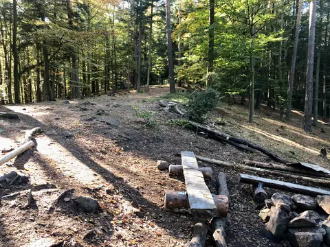 Trekking Pfalz: Vorderweidenthal