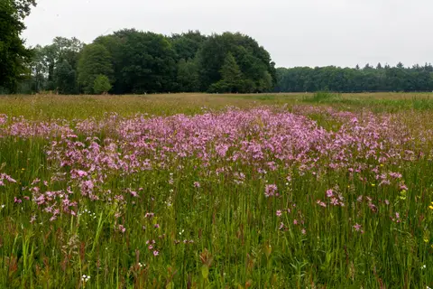 Hoeve Springendal
