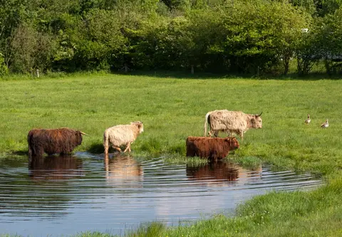 Hoeve Springendal