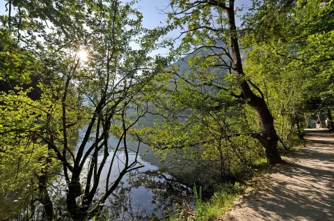 Camping Seeblick Toni