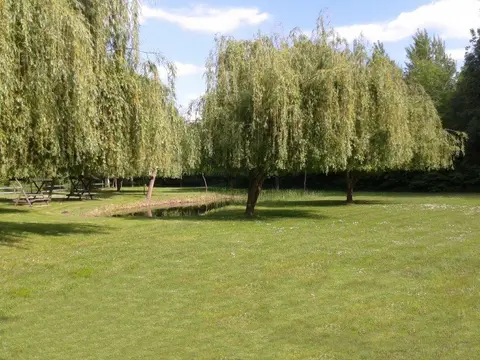 Cvika Camping