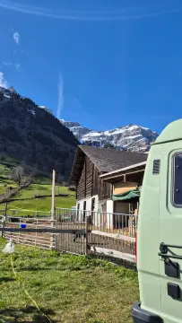 Camp Stein